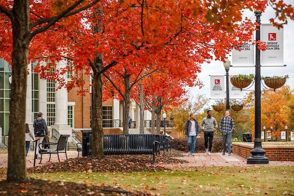 Students walk among vivid fall foliage at the Ferguson Promenade